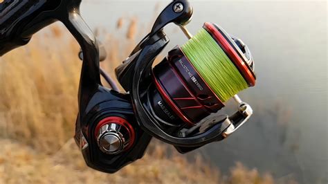 Daiwa .